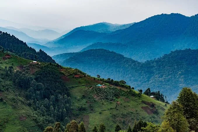 Uganda — hero image